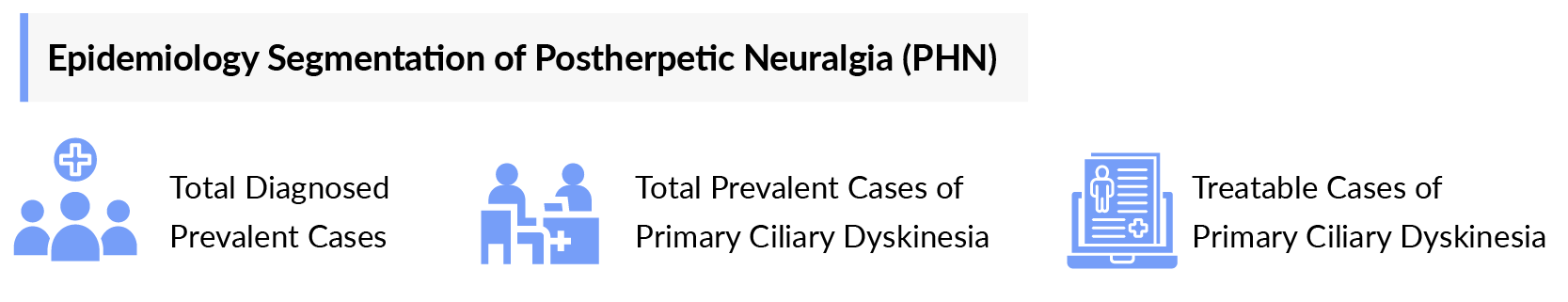 Epidemiology Segmentation of Postherpetic Neuralgia (PHN)